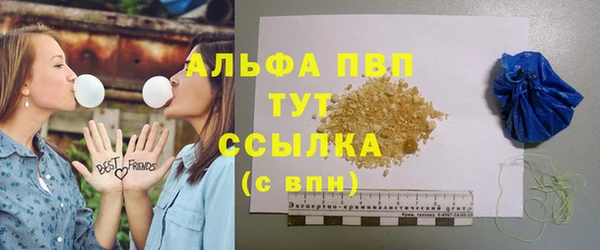 ECSTASY Богданович