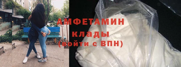 ECSTASY Богданович