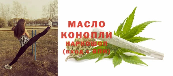 ECSTASY Богданович