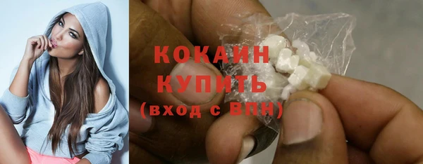 ECSTASY Богданович