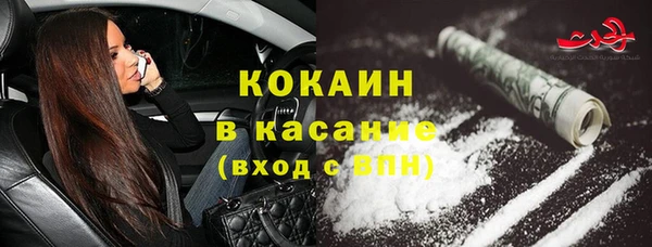 ECSTASY Богданович