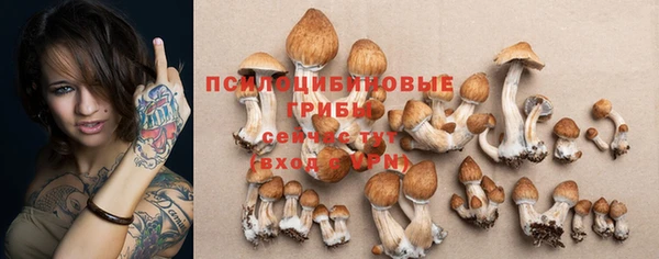 ECSTASY Богданович