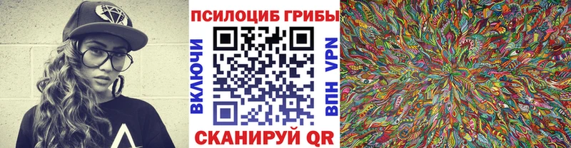 Псилоцибиновые грибы Psilocybe  Кохма 